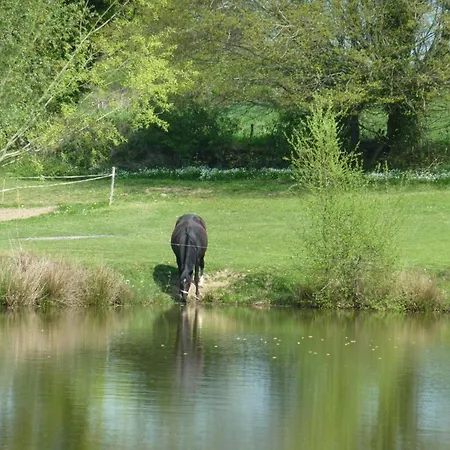 Avec Etang, Animaux Acceptes, Jardin Prive - Fr-1-489-293 Dom wakacyjny Bourbon-lʼArchambault