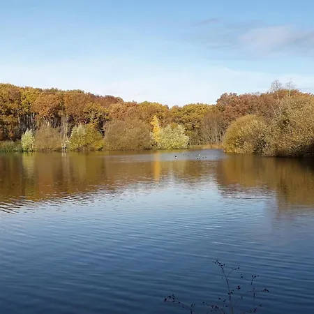 Avec Etang, Animaux Acceptes, Jardin Prive - Fr-1-489-293 Bourbon-lʼArchambault